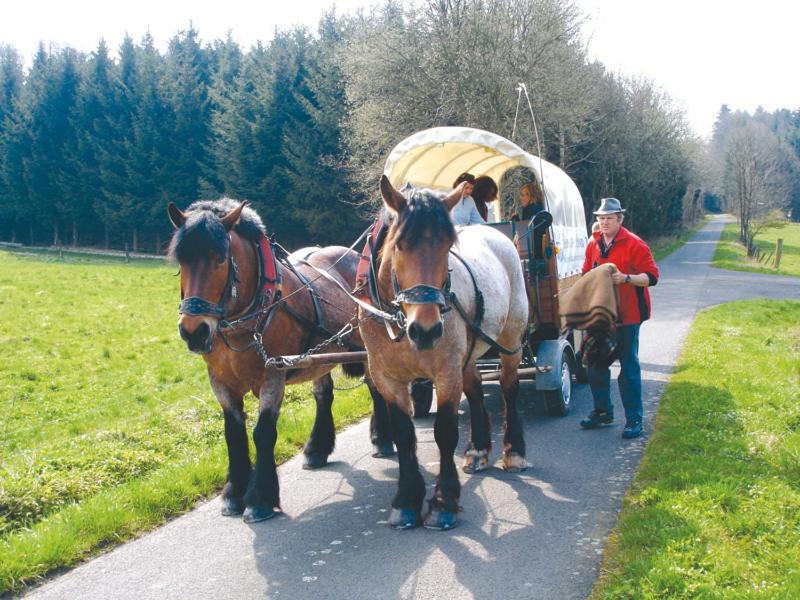 Landgasthof Lang Zum Adler Oberkalbach Buitenkant foto